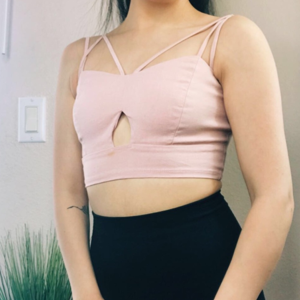 Dusty Rose Crop Top